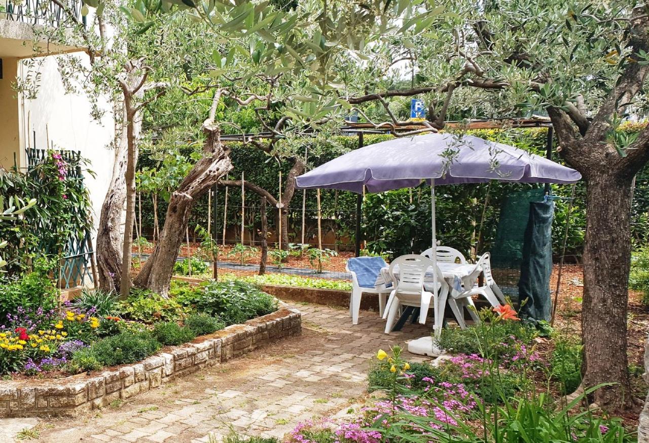 Cecillia Mare Apartments 罗维尼 外观 照片